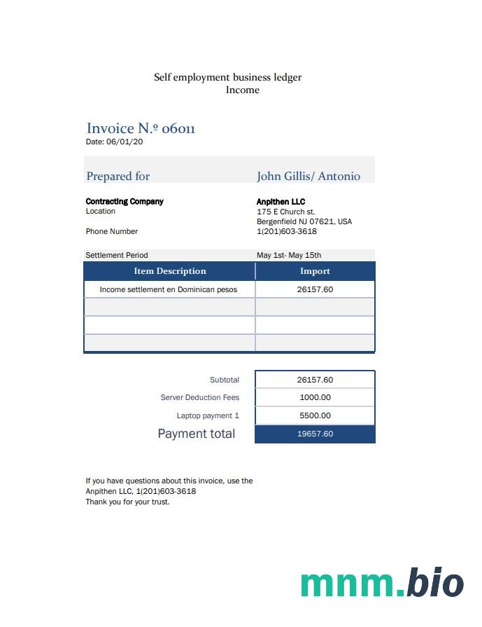 Self employment pay stub